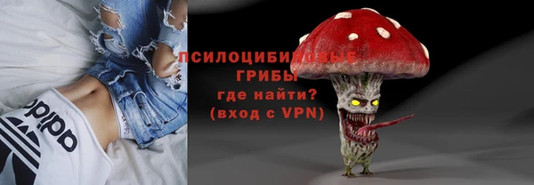 винт Лагань