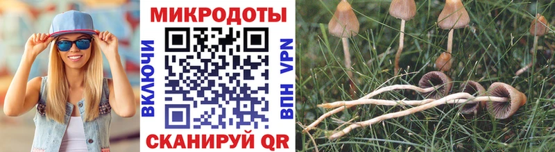 Купить закладки  Аша  Псилоцибиновые грибы прущие грибы 
